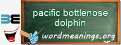 WordMeaning blackboard for pacific bottlenose dolphin